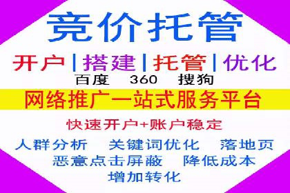 竞价托管服务对比：不同平台的优劣分析